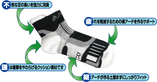 �n�C�p�[�\�b�N�X�y�l�`�b�g�z